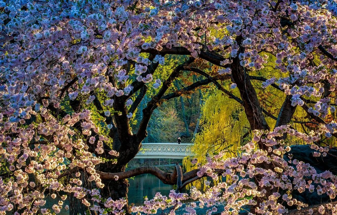 Spring central