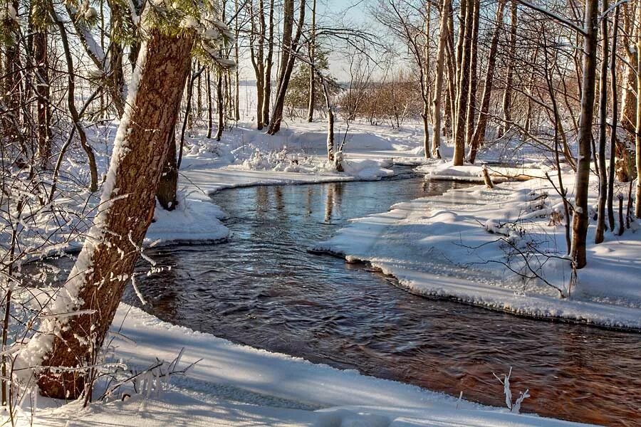 Весной весело журчат ручьи. Тает снег бегут ручьи. Ручейки весной. Ручьи ранней весной.