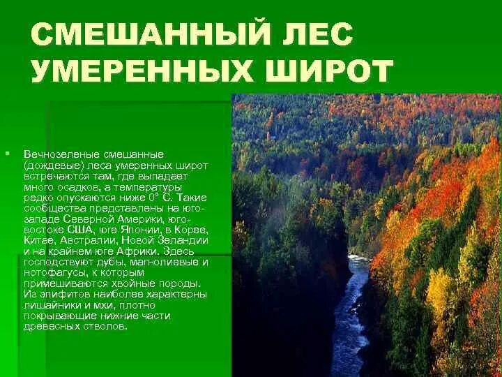 Широта смешанных и широколиственных лесов