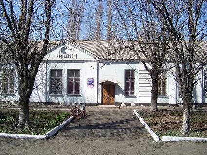 Трудовое донецкая область