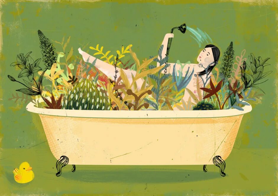 У нас в ванной жили звезды. Травяные ванны. Ванная с травами. Травяная ванная. Ванны с лекарственными травами.