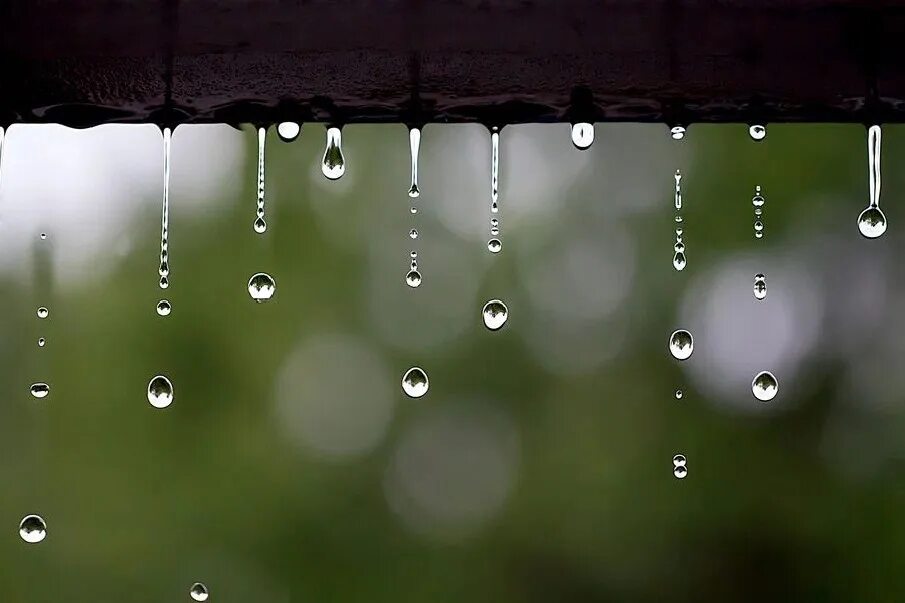 В окна стучали крупные дождевые капли. Капли дождя. Капли на окне. Дождик. Дождик капли.