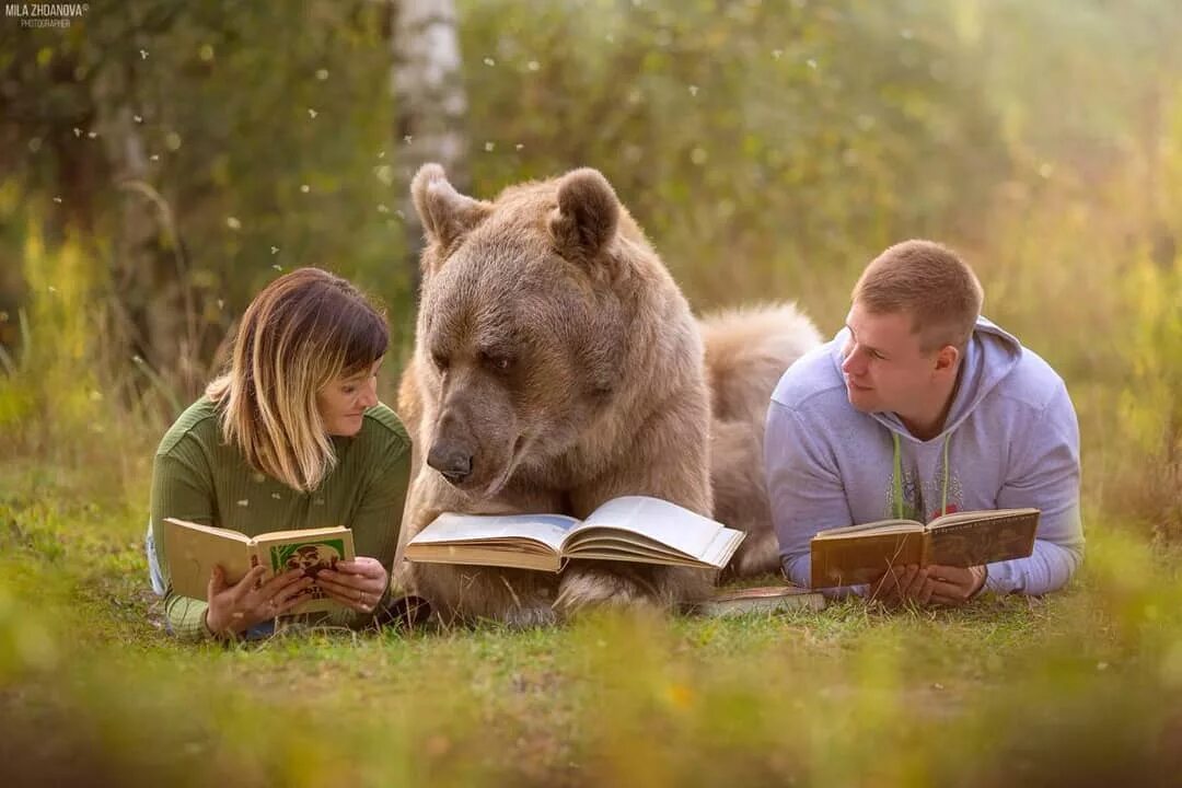 Девочка медведя читать. Медведь с книгой. Медведь с книжкой.