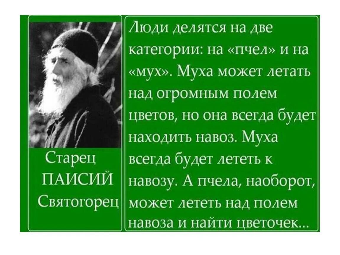 Притча про мух. Православные притчи о жизни. Православные высказывания в картинках о смысле жизни. Мудрые притчи святых отцов. Православные притчи Паисия Святогорца.