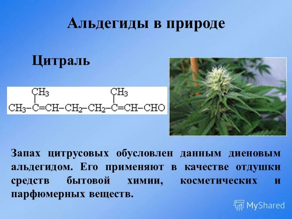 Альдегиды в природе. Нахождение в природе альдегидов. Альдегиды и кетоны в природе. Альдегиды в природе презентация.