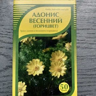 Настоя горицвета весеннего