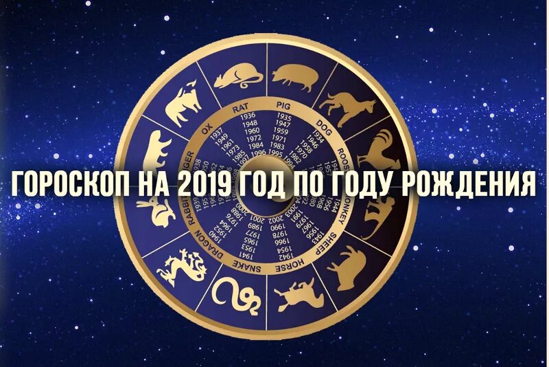 Знак зодиака 2019. Гороскоп на 2019 год. 2019 По зодиаку. Год рождения 2019 гороскоп.