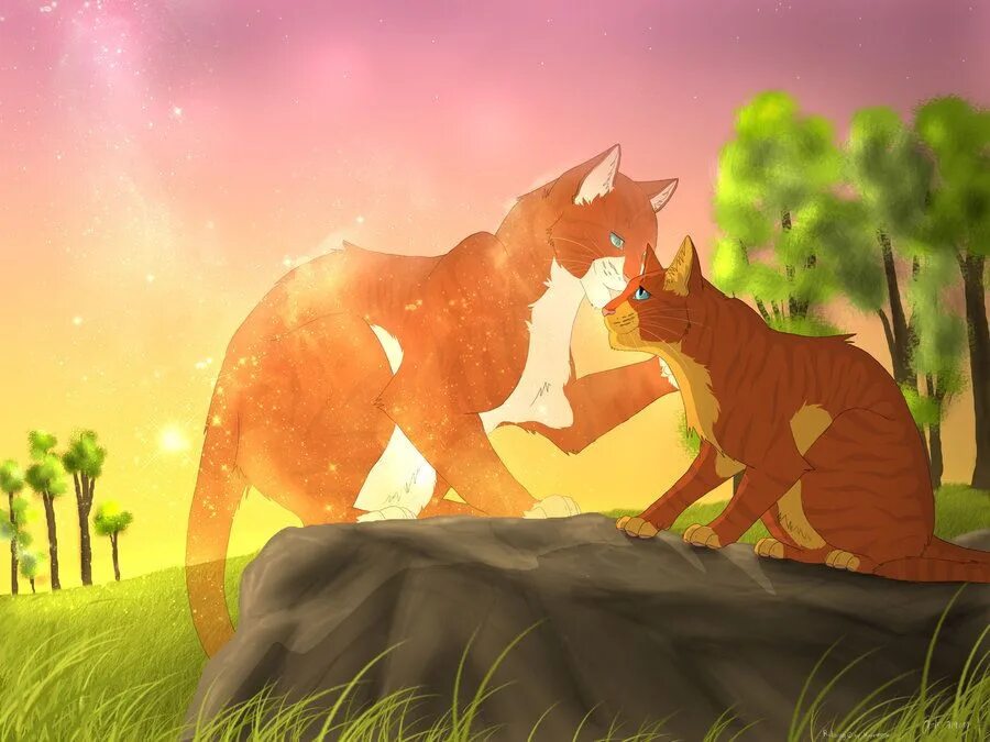 Слушать аудио коты воители. Коты воители листвичка и огнезвёзд. коты воители огнезвёзд звёздное племя. коты-воители от mizu-no-akira. коты воители громозвёзд и огнезвёзд.