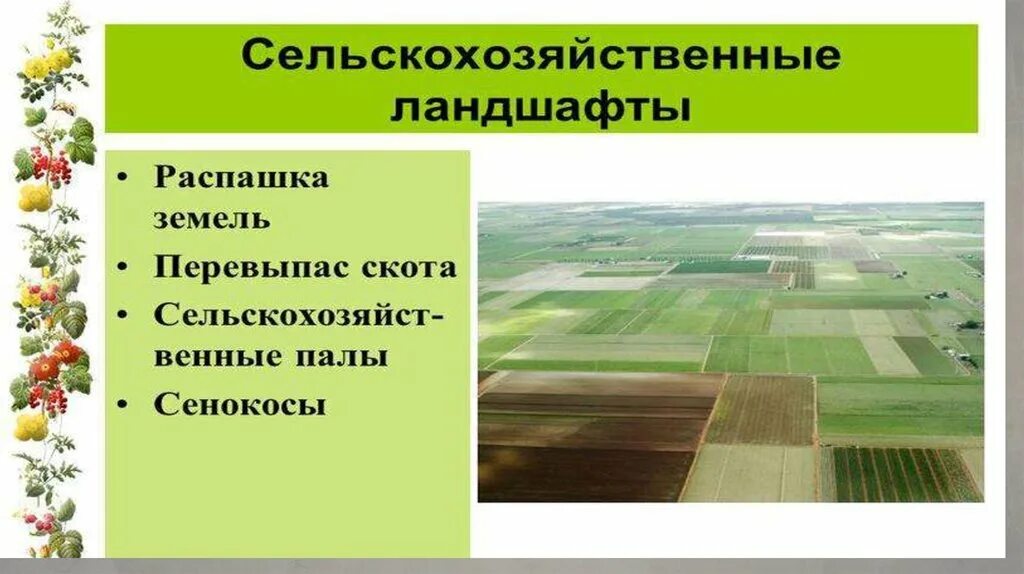 Ландшафт биология 5 класс. Культурные ландшафты презентация. Типы сельскохозяйственные ландшафты. Природно-антропогенные ландшафты. Сельскохозяйственный ландшафт примеры.