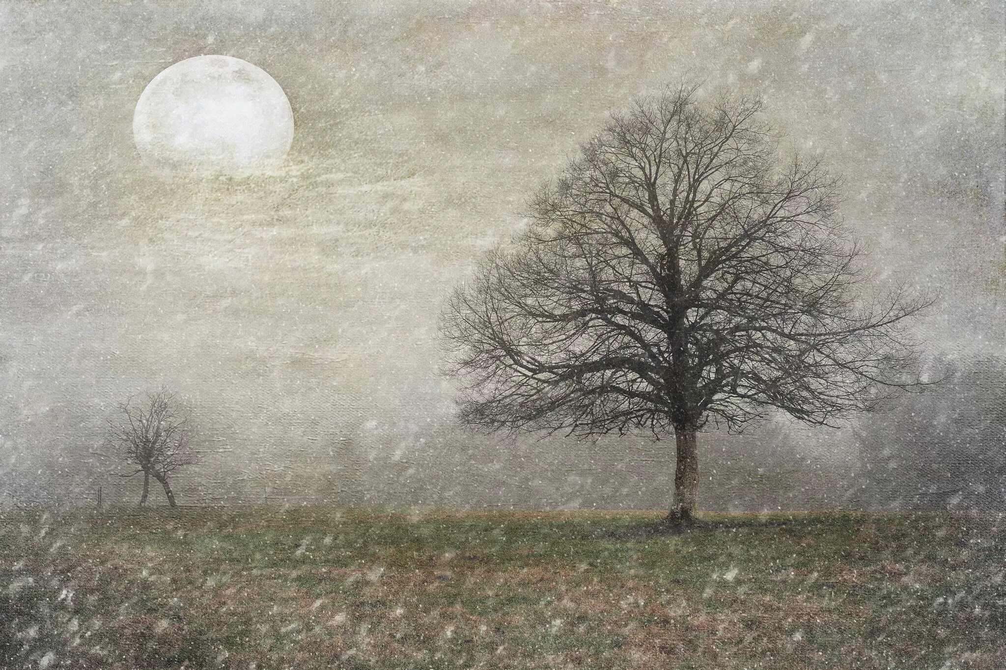 бернс под снегом и дождем. джефф роуленд художник зима. бернс под снегом и дождем. зимой под зонтиком. джефф роуланд картины.