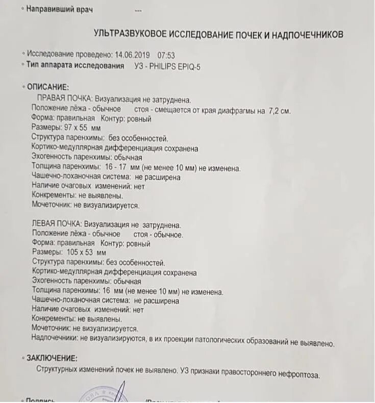 Норма узи брюшной полости у взрослых. Норма узи брюшной полости у взрослых