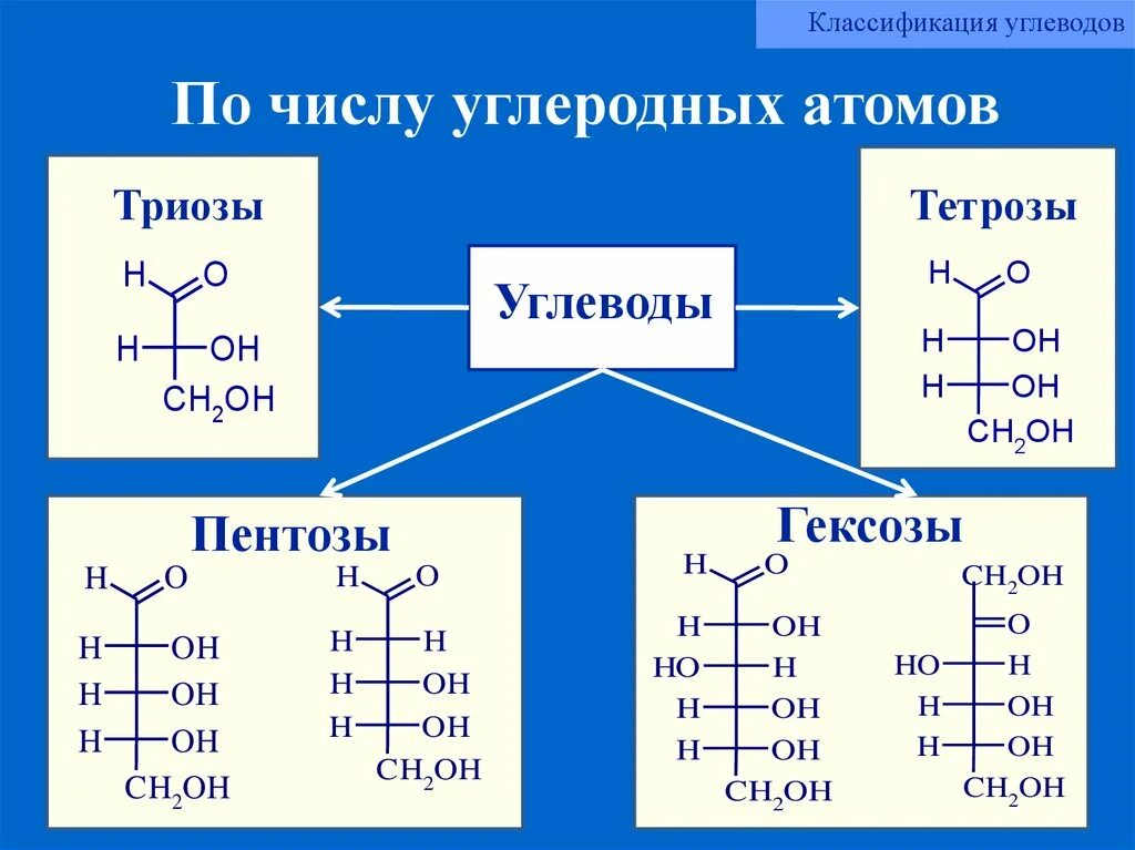 Глюкоза соединение углерода. Моносахариды триозы тетрозы. Моносахариды пентозы формула. Моносахариды триоза тетроза пентоза гексоза. Строение триозы пентозы гексозы.