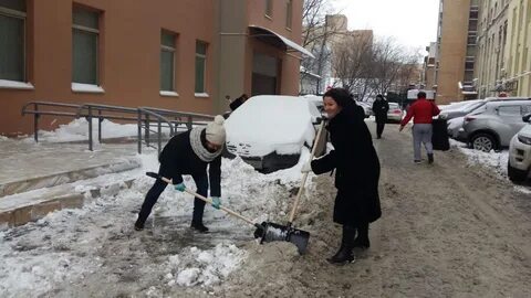 Жилищник нижегородский
