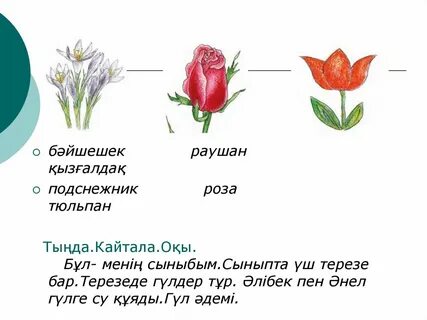 Кореядағы секс скринкамерасы