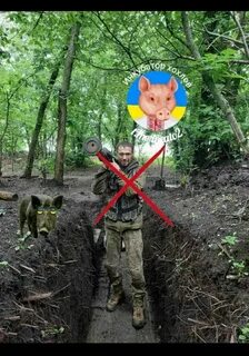 Земли днр