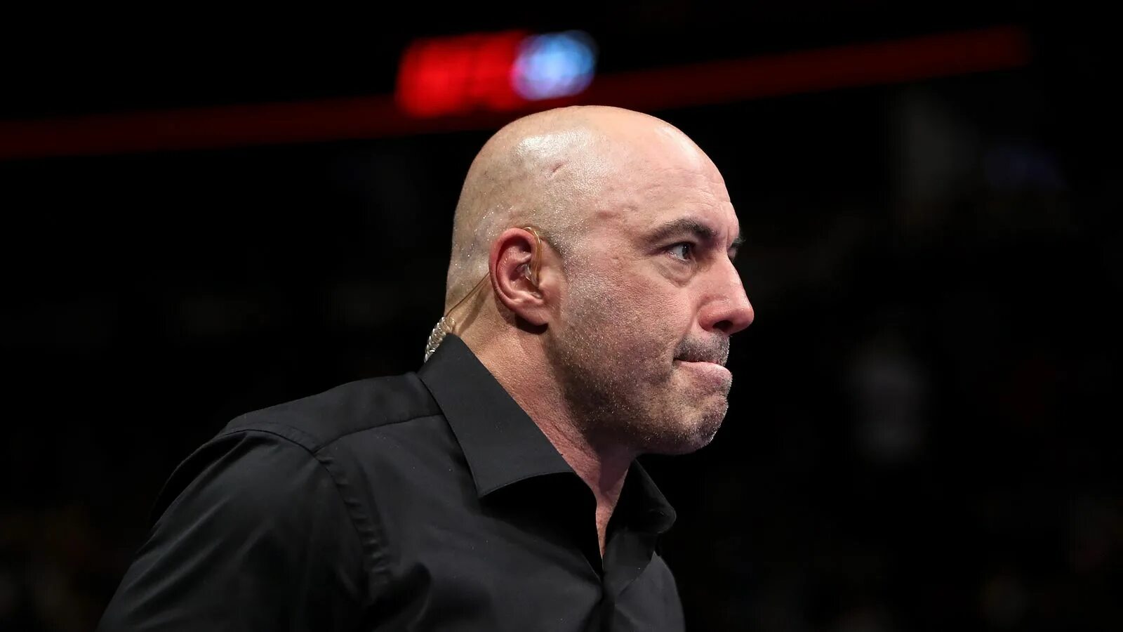 Комментатор ufc. Джо роган. джо роган комментатор. джо роган грибы. джо роган ufc.
