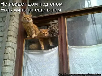 Отбилась от дома