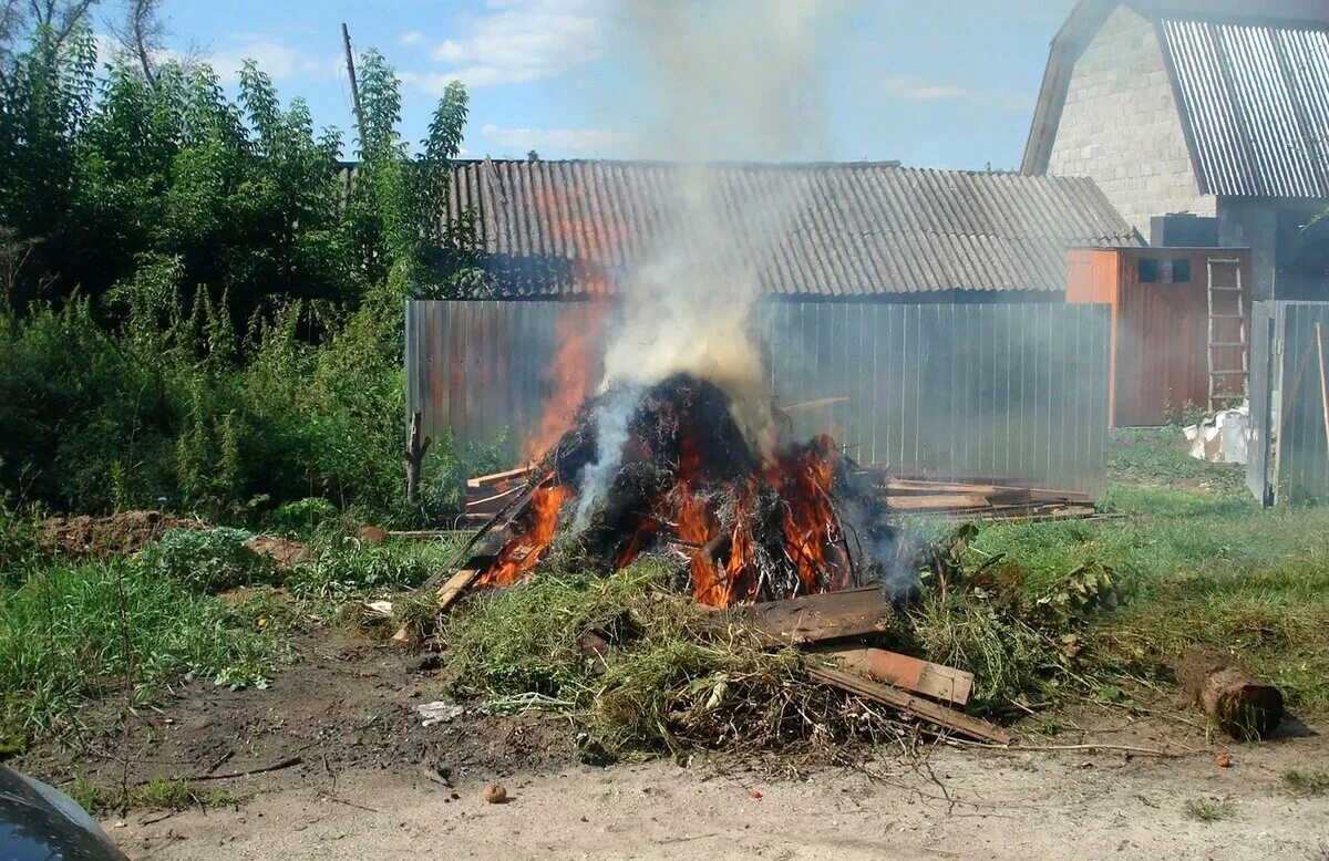 Можно ли сжигать траву на своем участке