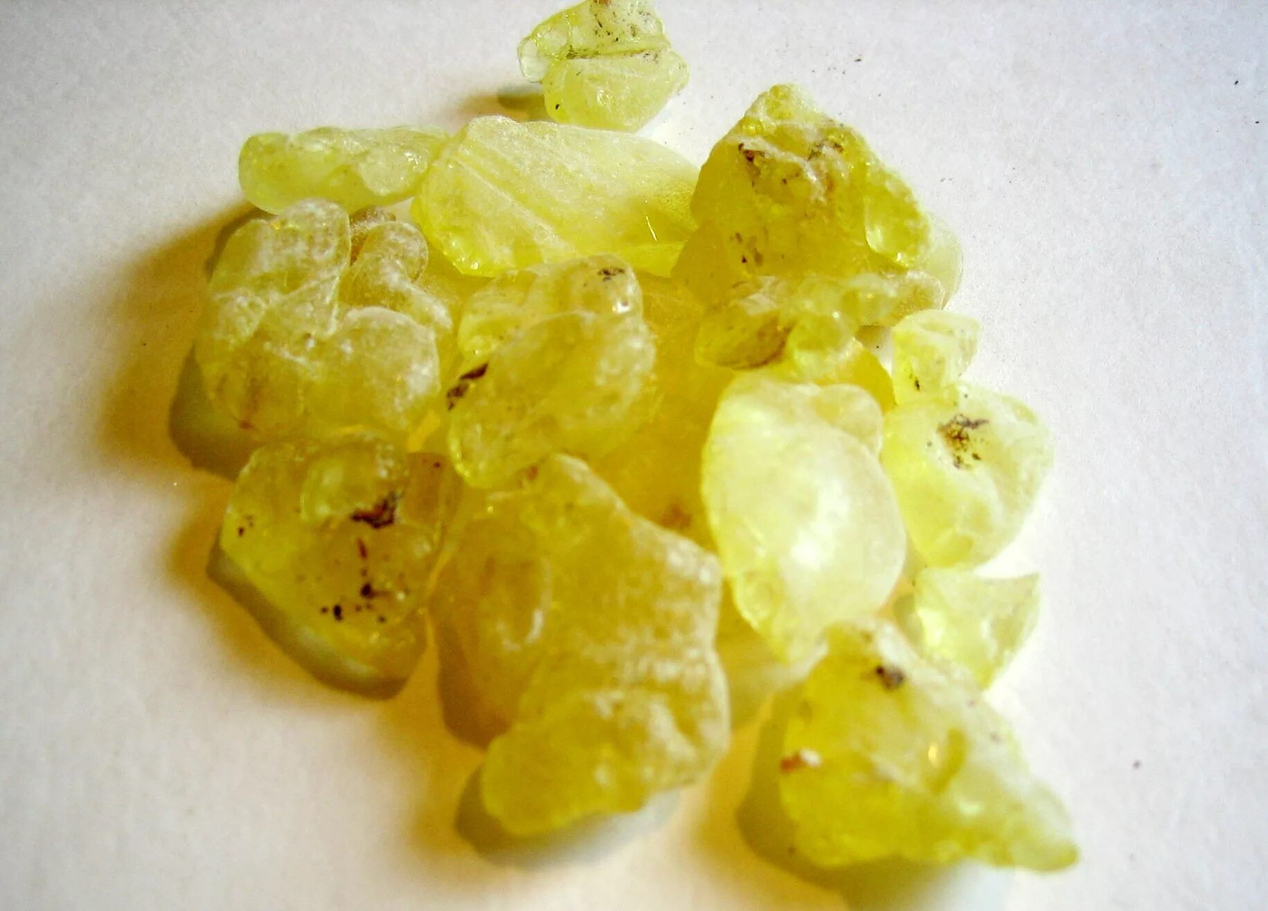 Смола мастикового дерева. Мастика смола. Мастиковая смола хиос. Битумная мастика в ведрах жидкая. Мастика хиос.