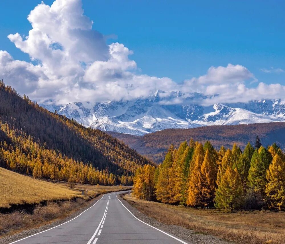 Горно алтайском такси. Ая горной алтай такси. Горно алтайском такси. Такси по горно алтайску. Алтай горы чуйский тракт.