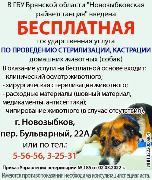 Ветаптека план. Ветклиника новозыбков. Новозыбков ветеринарная. Ветеринарная аптека тирасполь. Ветеринарная станция по борьбе с болезнями животных.