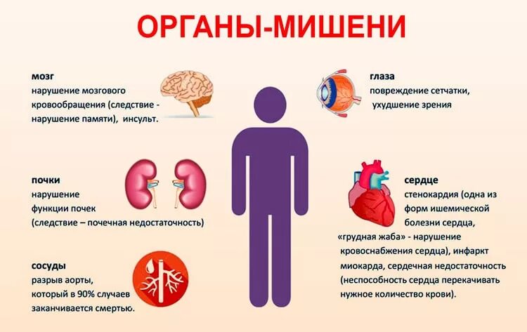 Органы мишени при артериальной. Органы-мишени при артериальной гипертензии. Гипертоническая болезнь органы мишени. Органы мишени при гипертонической болезни. Артериальная гипертензия поражение органов мишеней.