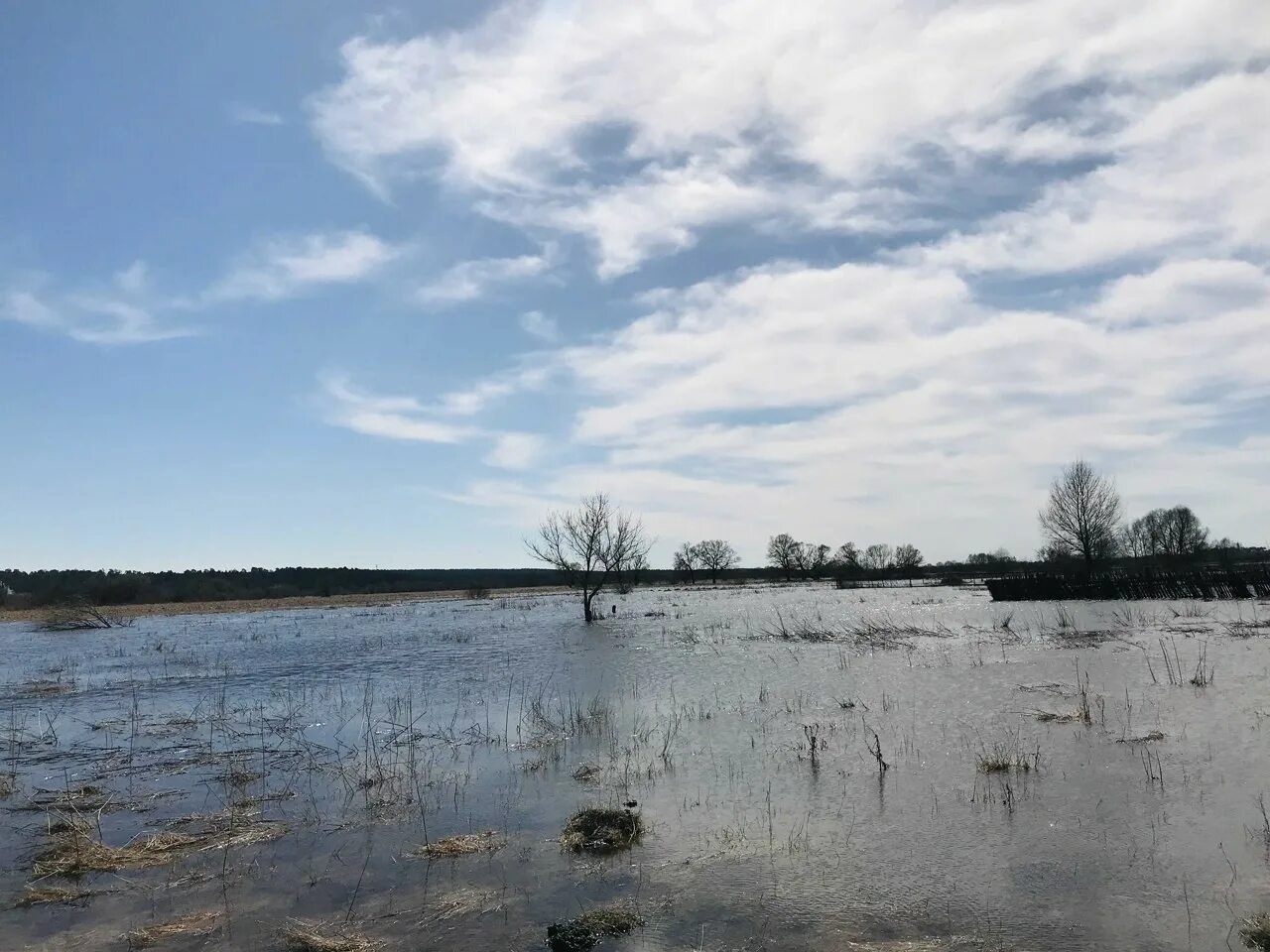 Уровень воды в жиздре козельск сегодня. Река Жиздра разлив. Разлив в Козельске. Разлив Жиздры в Козельске. Разлив Жиздры 2022.