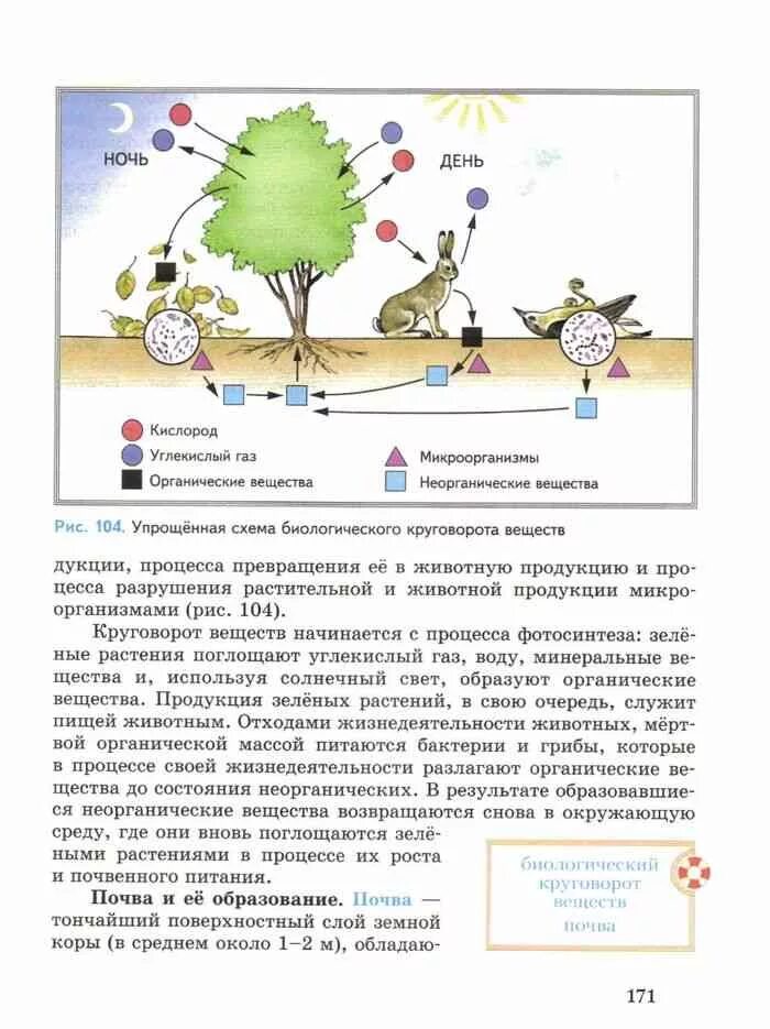 Биологический круговорот география 6 класс Летягин. География 6 класс учебник Летягин. Учебник по географии 6 класс Летягин. География 6 класс учебник. География 104