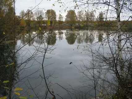 Покажи апрелевку
