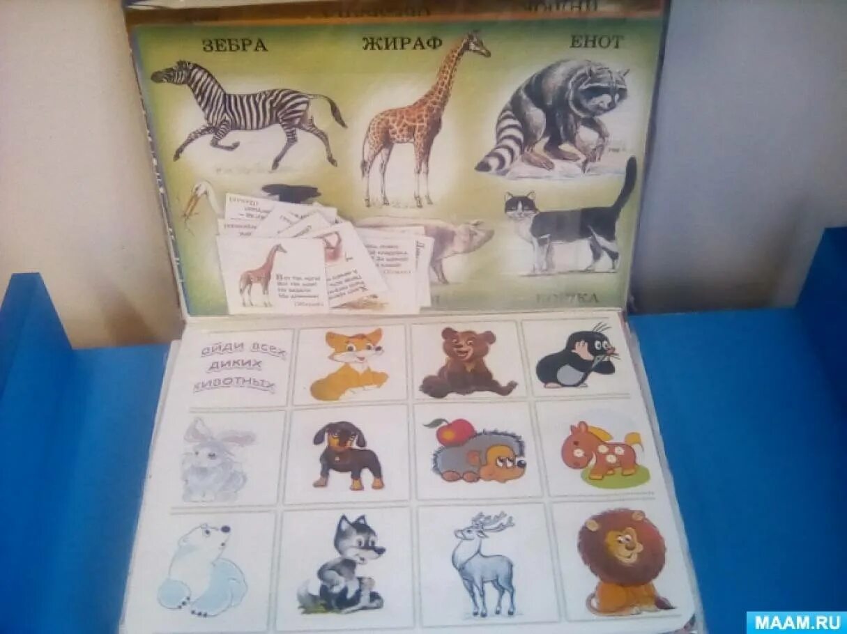Лэпбук мир животных. Лэпбук мир животных