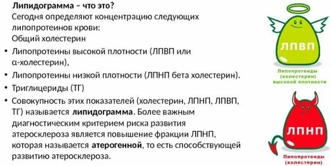 Общий холестерин лпнп триглицериды. Липидограмма крови. липидный профиль крови что это такое. лейпедограмма крови что это. липидограмма холестерин.