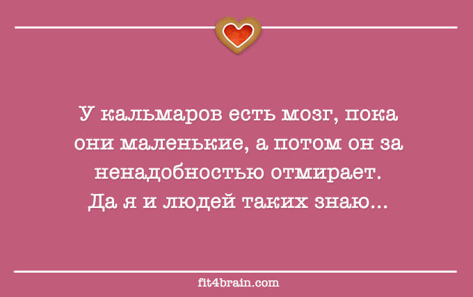 Что будет если съесть мозг. У кого отмирает мозг за ненадобностью. Мозг пока. У кальмаров пока они маленькие есть мозг.