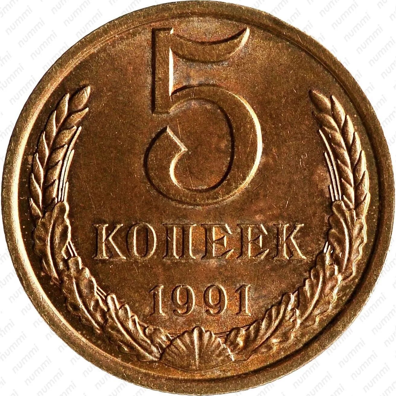 Монета 5 копеек СССР. 5 Копеек 1978. Пять копеек 1978. 5 Копеек 1991. 5 копеек в рублях на сегодня