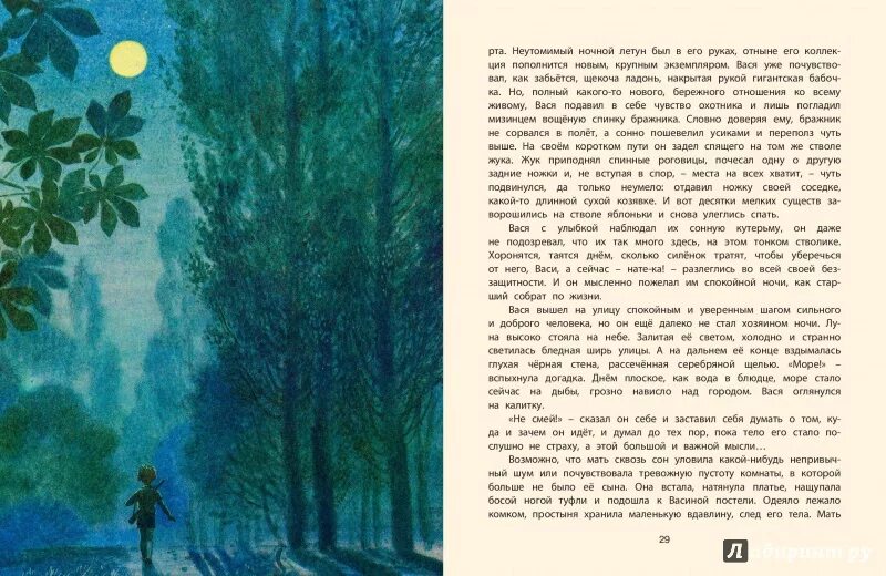 Нагибин старая черепаха. Старая черепаха нагибин. книга старая черепаха нагибин. иллюстрации из книг юрия нагибина.