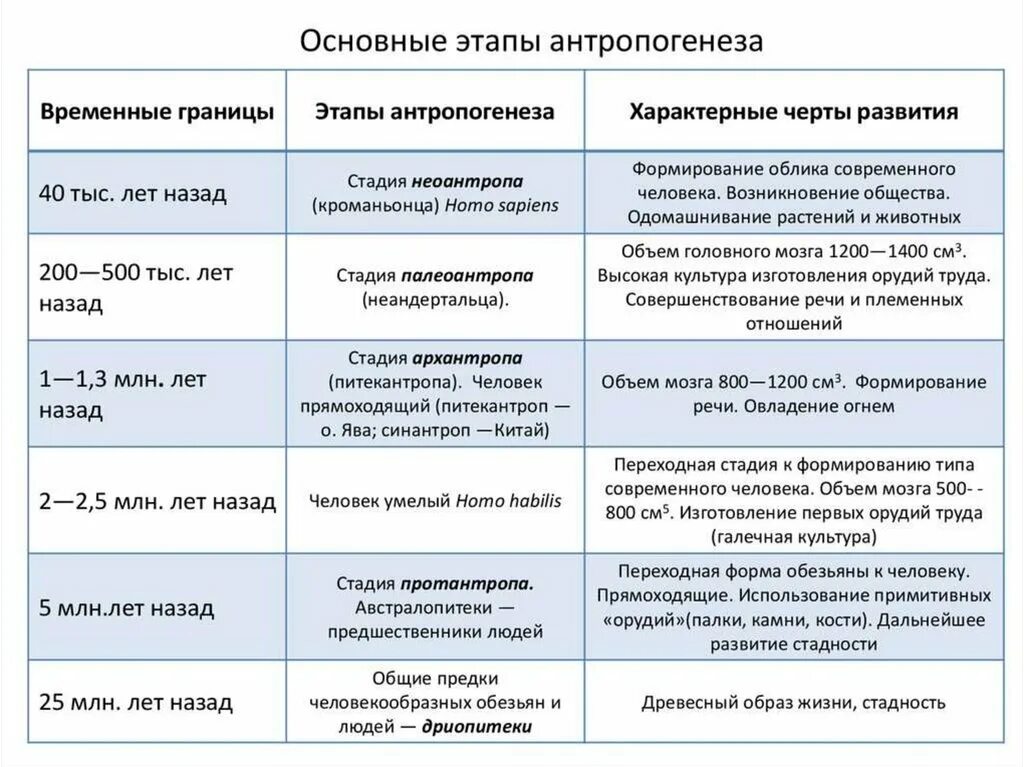 Этапы эволюции человека 9 класс пономарева. Временные границы этапы антропогенеза характерные черты развития. Этапы антропогенеза таблица. Таблица основные этапы антропогенеза таблица 11 класс. Характеристика стадий антропогенеза таблица.