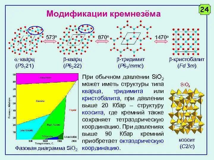 Полиморфизм это в биологии - найдено 74 картинок