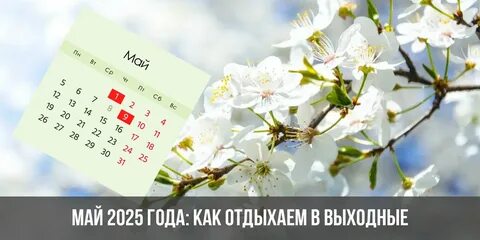 Выходные в мае 2025 ImmunoCap.ru