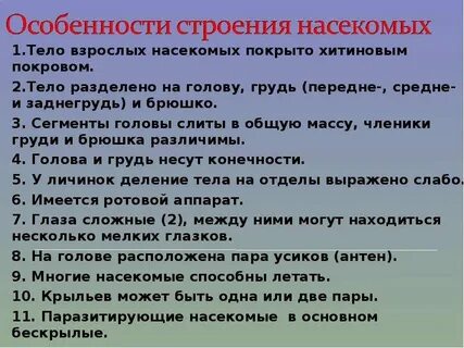 Покров тела у насекомых