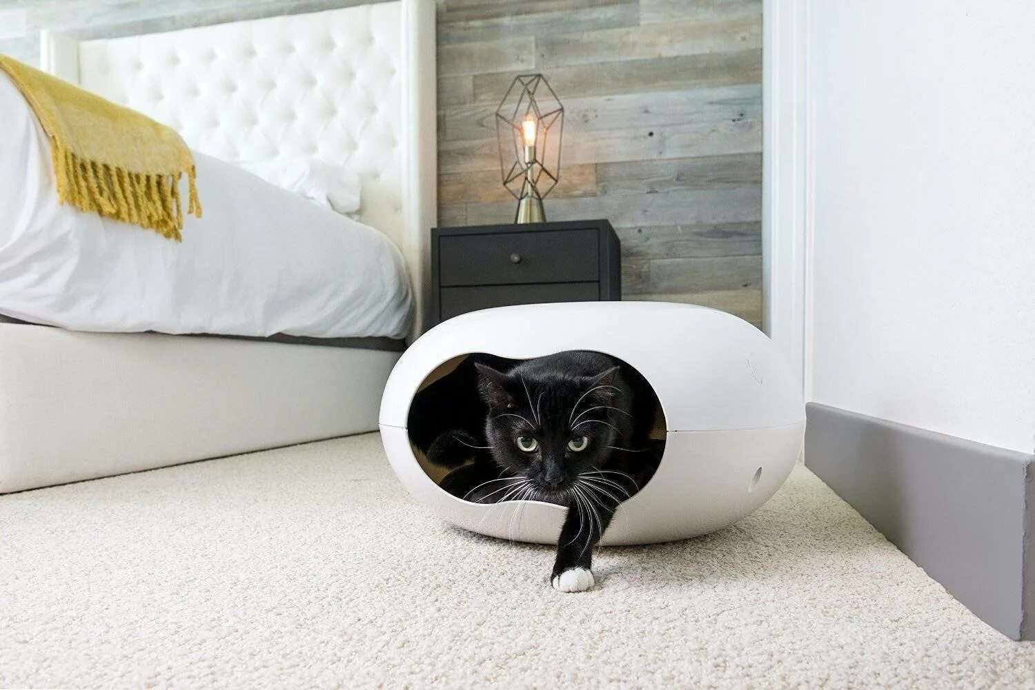 Комната для кошек. Дизайнерские домики для кошек. Мебель для котов в интерьере. Необычные домики для кошек. Кажется что дома кот