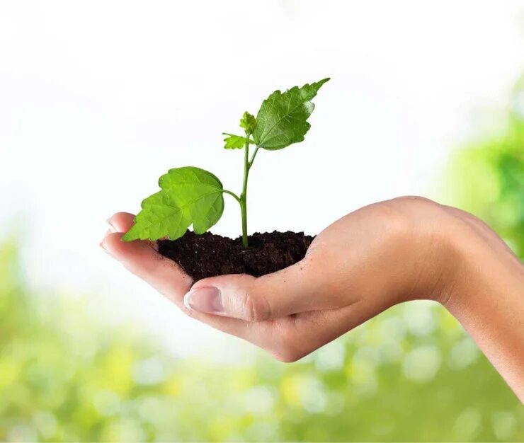 In simple environment. Помощь экологии. environment and coveid. environment.com. environmental protection in canada.