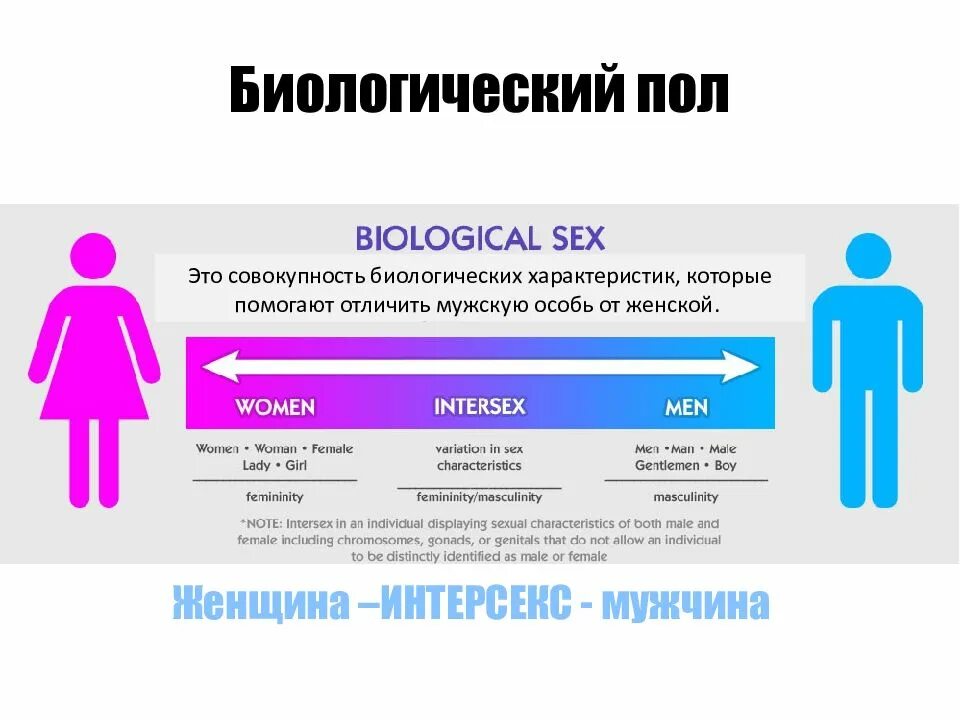 У человека есть пол. Биологический пол и гендер. Биологический пол человека. Виды человеческого пола. Биологический пол человека определяется.