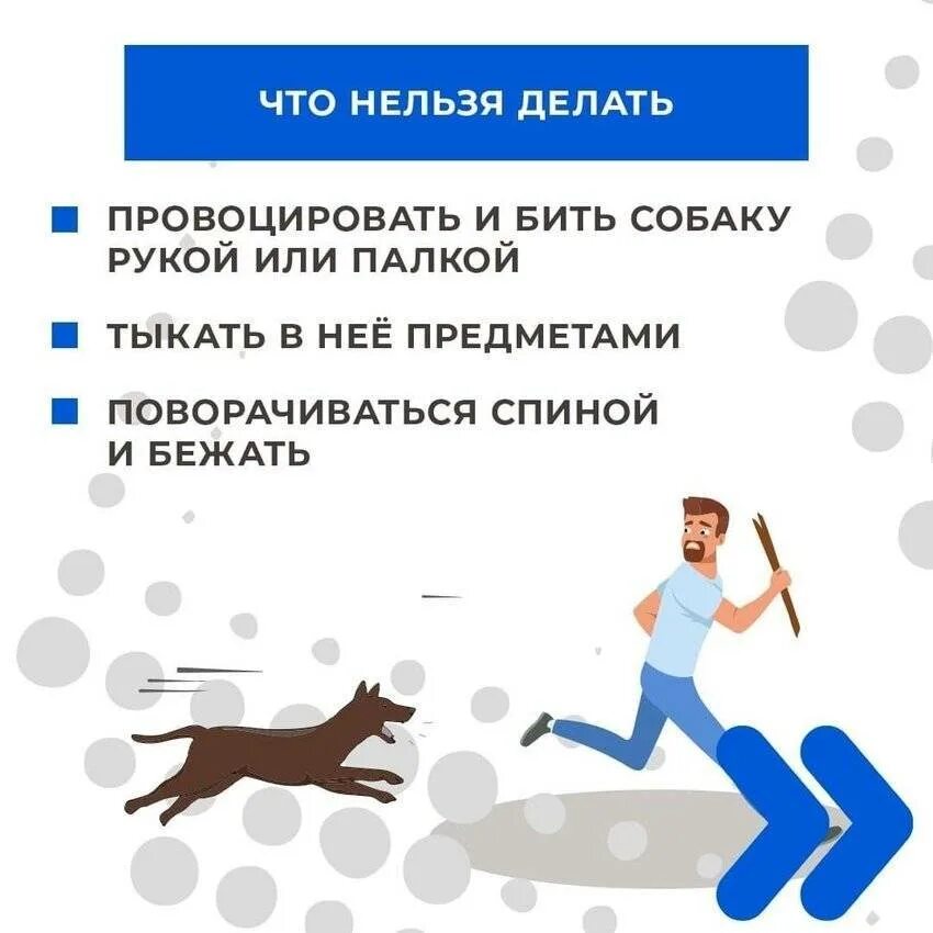 Что делать при нападении. Памятка при встрече с бродячими собаками. Памятка при нападении собаки. Как защититься от бродячих собак. Как защититься от стаи бродячих собак.