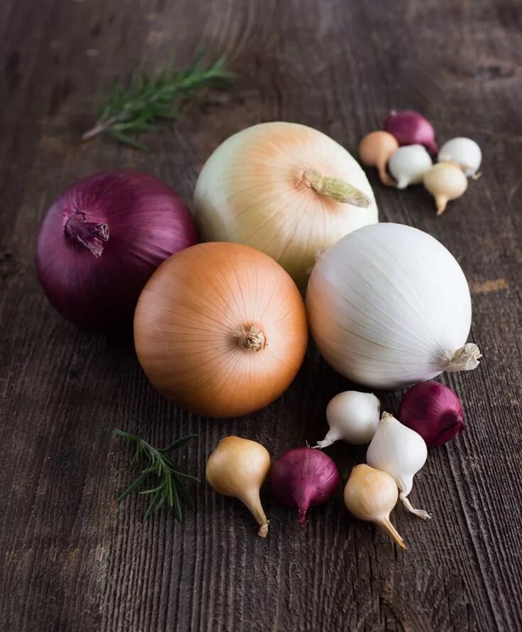 Onion vegetables. Лук репчатый. Стильный лук репчатый. Овощи Италии.