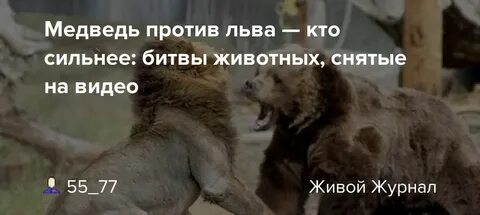Белый лев против
