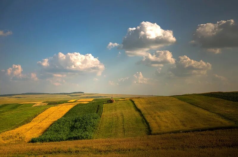 Поля ps. Прикубанская равнина река Кубань. Равнины Краснодарского края. Краснодарский край тополя поля Кубань. Степь поле Краснодар.