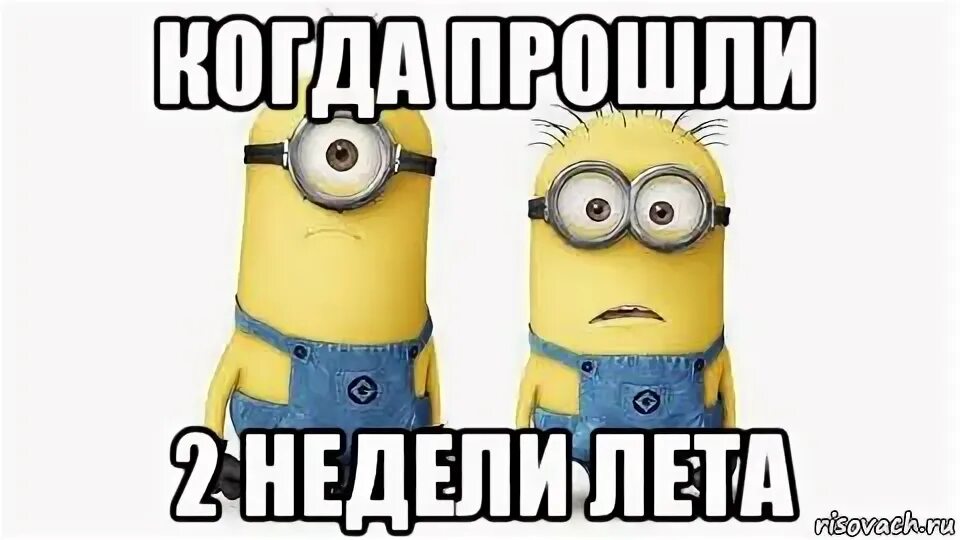Мем лета. Нет мем миньоны. с первым днем лета миньоны. со вторым днем лета мем.