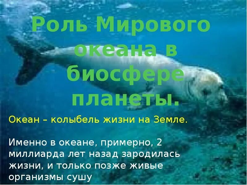 Какое значение мирового океана. Океан колыбель жизни на земле. роль мирового океана в биосфере и жизни человека. роль мирового океана в биосфере планеты. роль океанов в жизни земли.