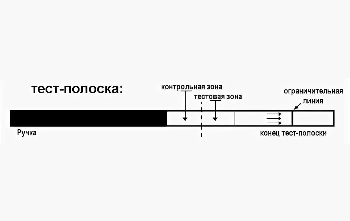 Контрольная полоска. Тест полоски. Тестовая и контрольная полоска. Контрольная полоска на тесте. 3 магазин тест