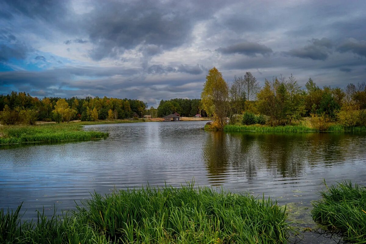 Затишье санаторий клинцы свадьба. Затишенское озеро клинцы. Озеро затишье клинцы. Санаторий затишье в клинцах взрослый. Затишье.