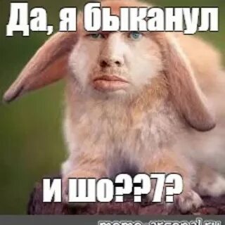 Извини зря быканул